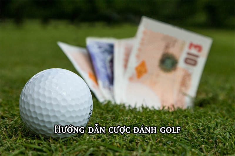 ca-cuoc-golf-nha-cai-k8cc