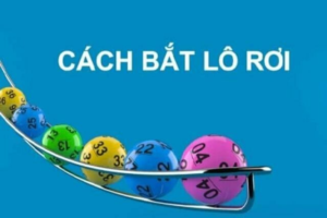 cach-bat-lo-roi