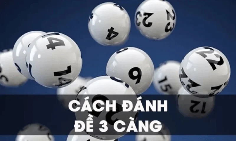 dan-de-3-cang-mien-bac