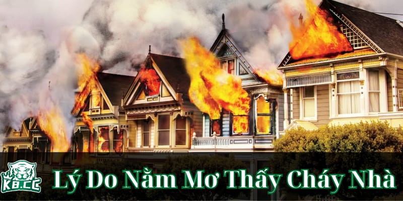 nam-mo-thay-chay-nha-du-doan-tuong-lai-va-nhung-tin-vui-sap-den