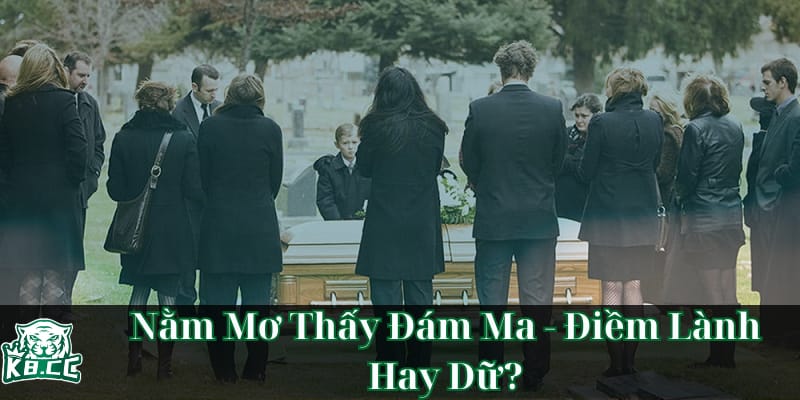 nam-mo-thay-dam-ma-diem-lanh-hay-du-tim-hieu-y-nghia-dich-thuc