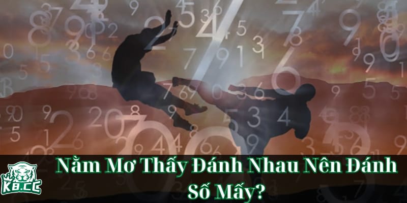 nhung-con-so-may-man-danh-cho-ban-khi-mo-thay-danh-nhau